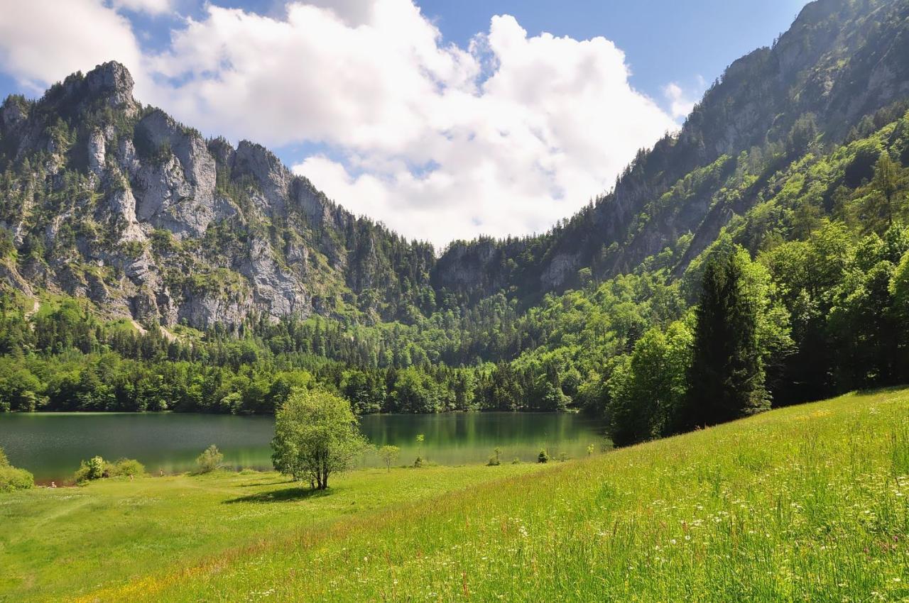 Superbe Studio De Montagne, Au Pied Des Pistes De Ski, Classe 3 Etoiles La Morte Zewnętrze zdjęcie